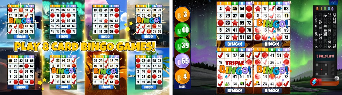 offline-bingo-games-free-download-loadrussian